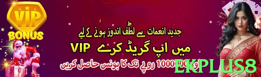 ekplus8 Pakistan - 3